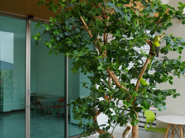 LINE_ALBUM_Sukhumvit 56 Land _ Building_251104_16