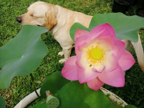 line_oa_chat_260408_152641_group_0